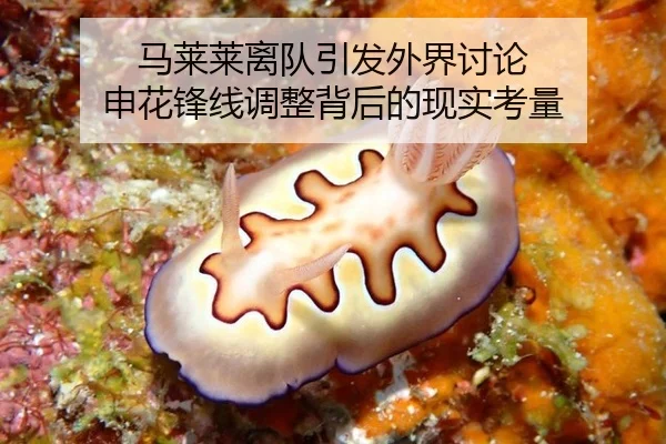 ma-lai-lai-li-dui-yin-fa-wai-jie-tao-lun-shen-hua-feng-xian-tiao-zheng-bei-hou-de-xian-shi-kao-liang-2-693.jpg
